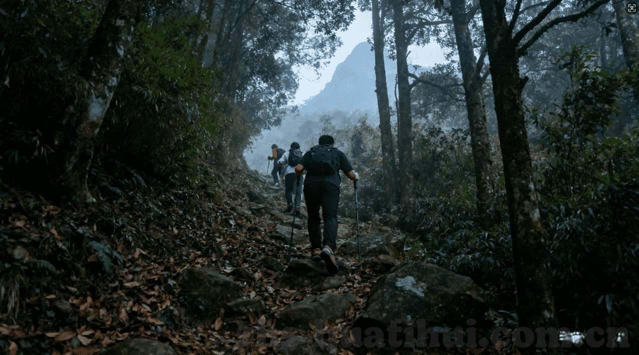 365世界杯足球投注网站-365世界杯足球投注网站的魅力与挑战