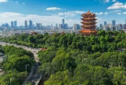 足球胜其它的比分-足球赛场上的数字狂欢,那些让人血脉偾张的胜其它比分